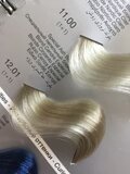 TEMPTING PROFESSIONAL Absolutly GLAM